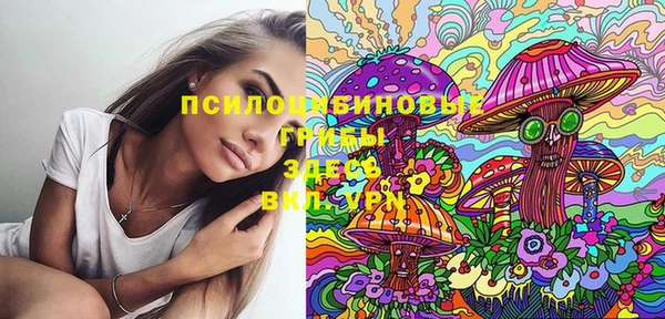меф Вяземский