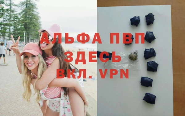 сатива Вязники