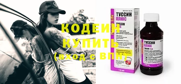 меф Вяземский
