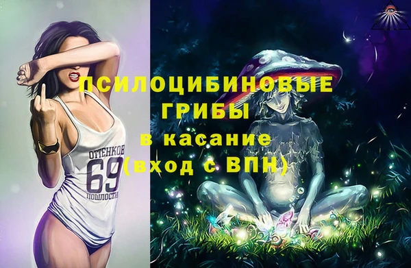 гидра Болохово